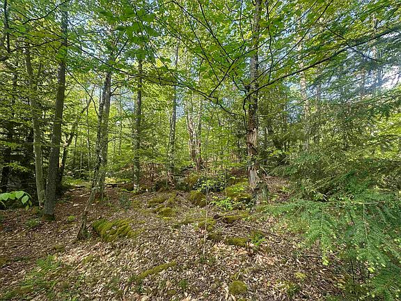 2nd image of 4 Tuscan Ridge Rd