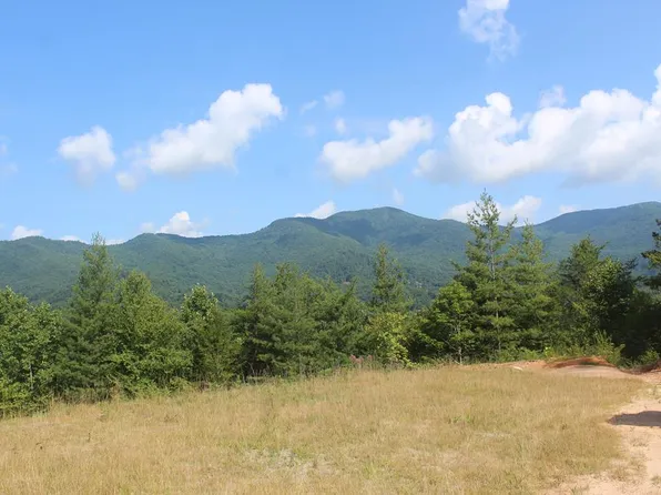 0 Asheville Hwy, Sylva, NC 28779