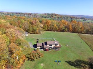 235 Dominic Rd, Candor, NY 13743