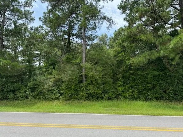 0 Oakdale Church Rd, Seminary, MS 39479