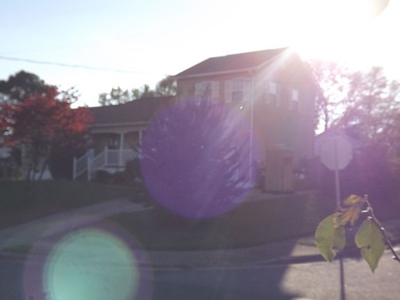3rd image of 1412 Pittsburg Ct