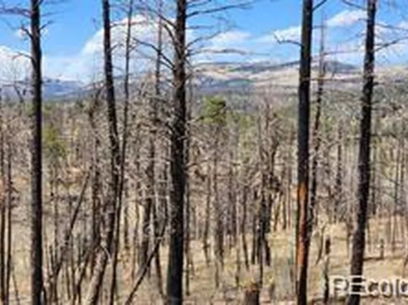 Lot 651 Emery Loop, Fort Garland, CO 81133
