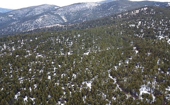 4th image of Tbd Turk Rd