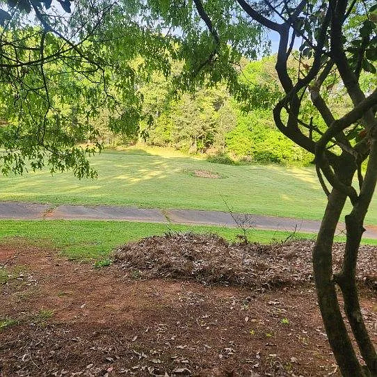 Another view from the Deck