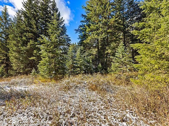 3rd image of 1426 Bierney Creek Rd