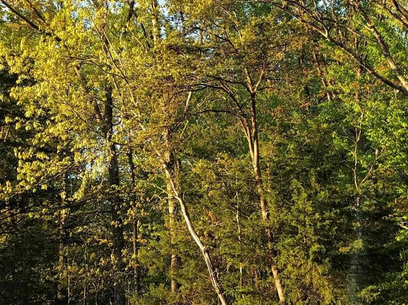 12054 Nokesville Rd, Bristow, VA 20136