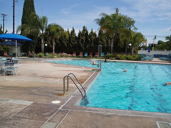 Pool & Spa