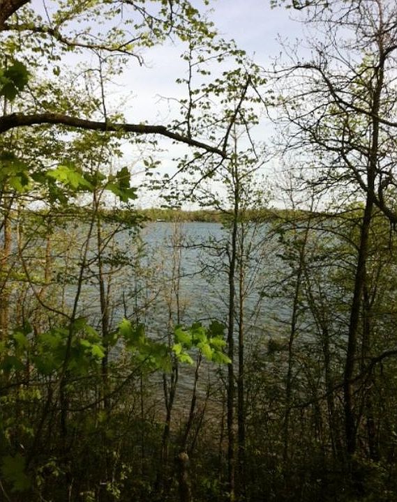 2nd image of 37570 Sunrise View Rd