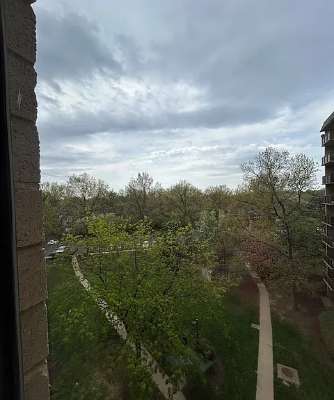 Bedroom views...