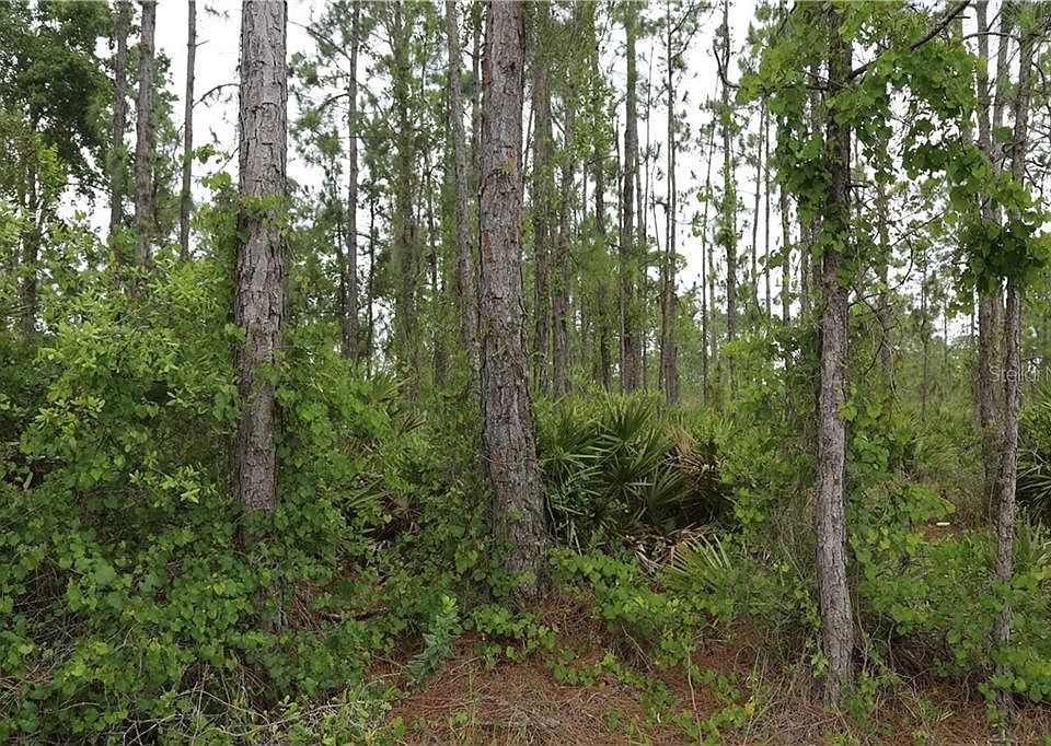 2nd image of 5475 Lake Haven Blvd