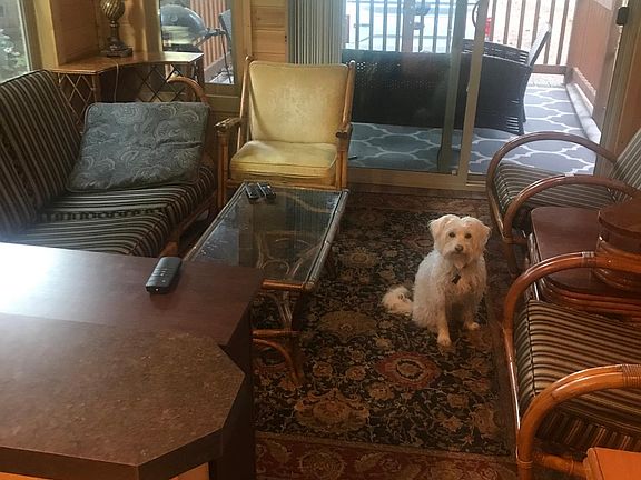 Art Deco circa Floridian rattan living room