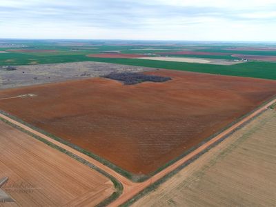 0 County Road 113, Rochester, TX, 79544