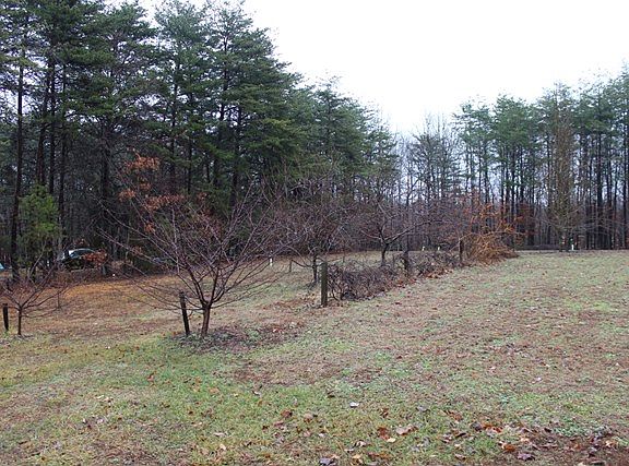 4th image of 20564 N James Madison Hwy