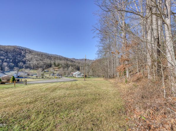 117 Buckner Dr, Roan Mountain, TN 37687