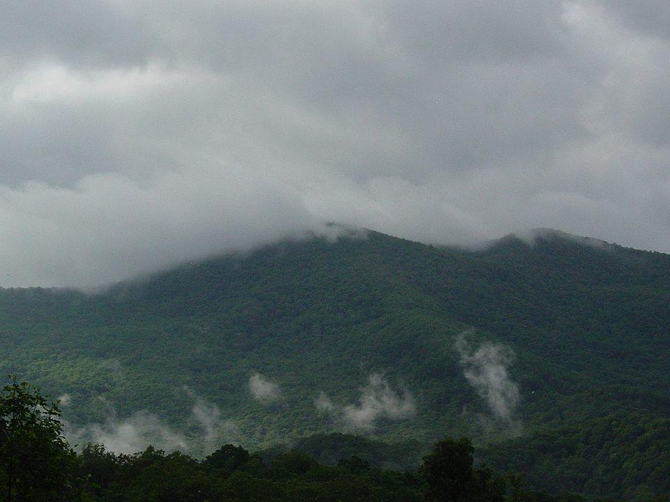 2nd image of Low Gap Rd