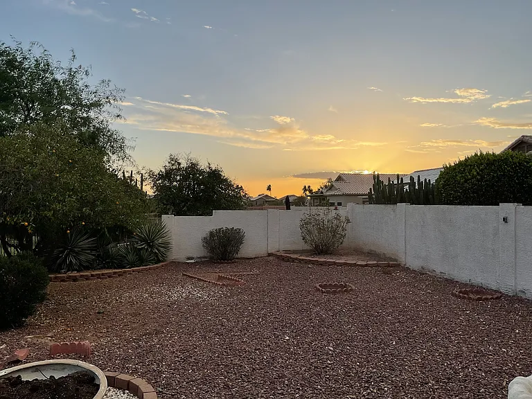 Back yard