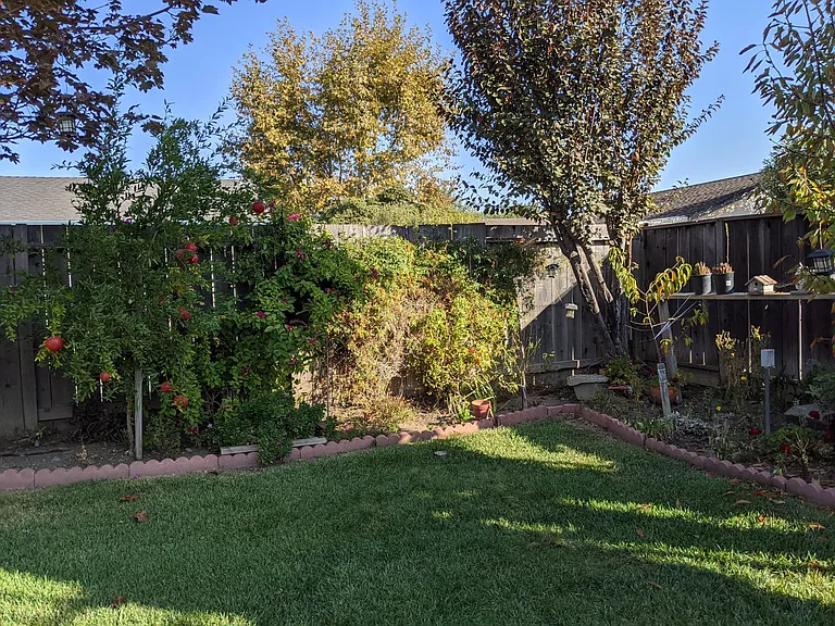 4033 Cid Way — Photo 3