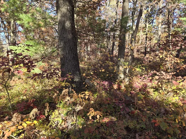 V/l #M37, Baldwin, MI 49304