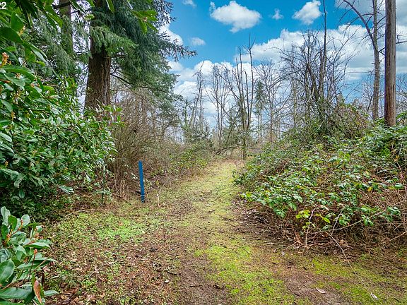3rd image of 6699 SE Mabel Ave