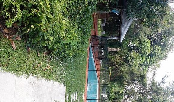 3rd image of 441 W River Dr