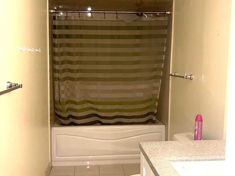 236 Letitia St #BASEMENT — Photo 7