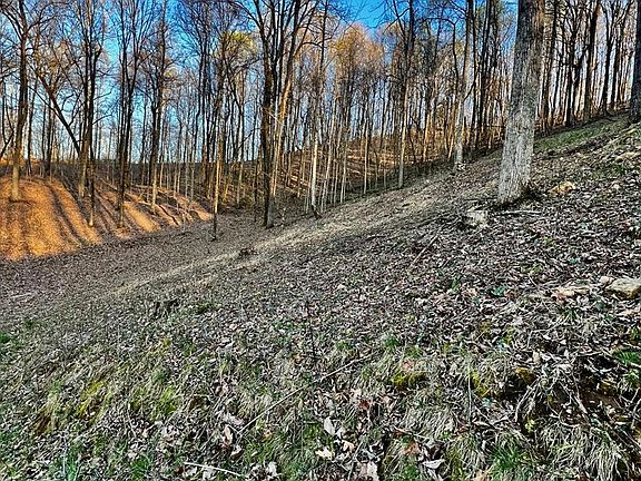 5th image of 38 Bears Paw Dr