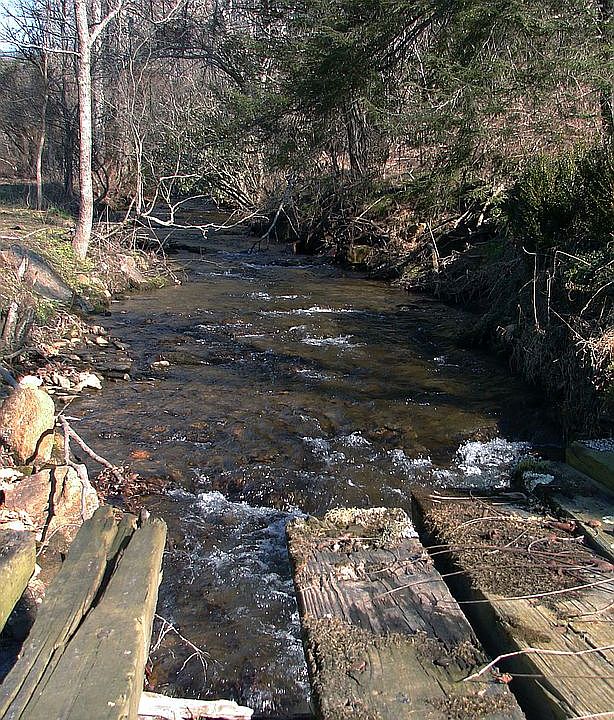 Coopers Creek from Bridge