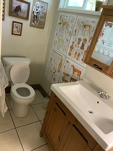 35490 County Road 31 — Photo 5