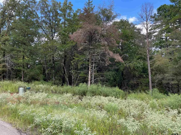 Cedarpark Pl Lot 19, Lindale, TX 75771