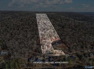 5 White Elephant Rd, Grant, AL 35747