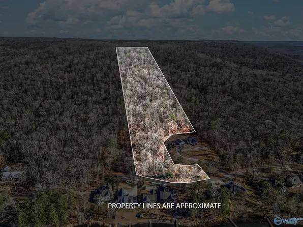 5 White Elephant Rd, Grant, AL 35747