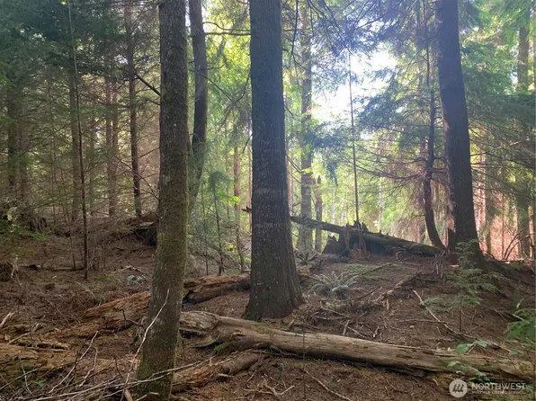 1 Tract Parpala Road, Naselle, WA 98638