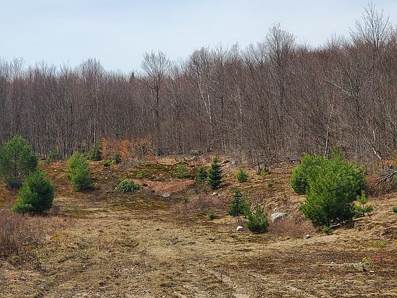 2nd image of LOT 8 Daigneau Trl