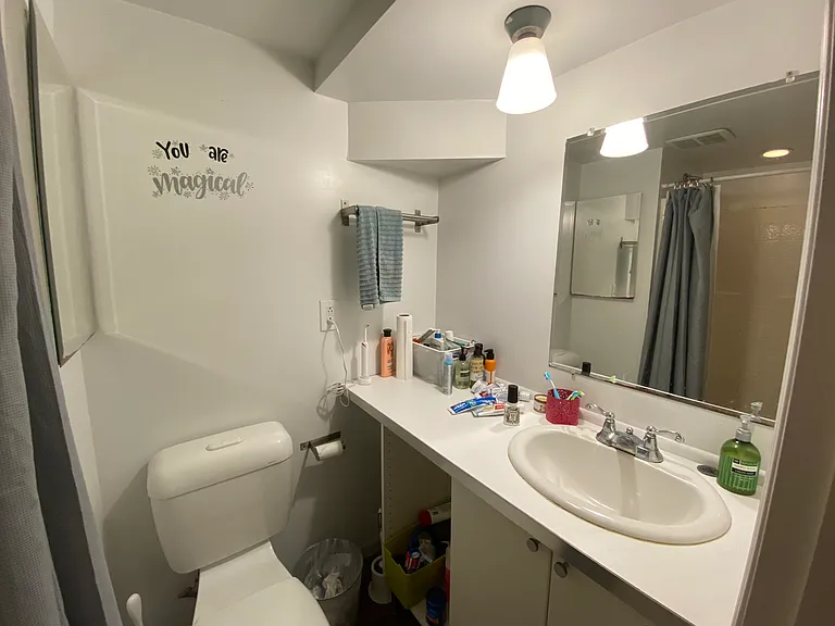 Lower unit bathroom