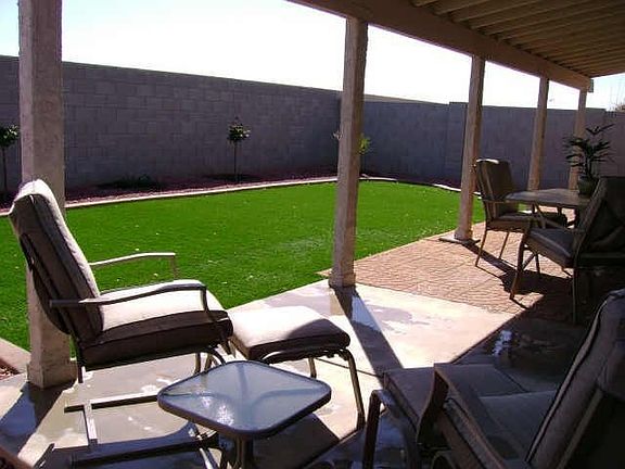 Back yard