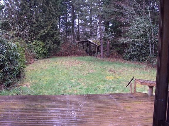 Back yard Area