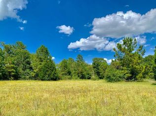 294 State Highway 150, New Waverly, TX 77358