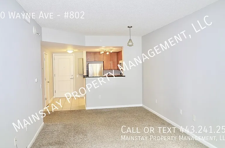930 Wayne Ave #802 — Photo 8