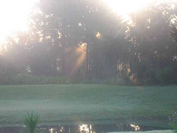 Sunrise at 4644 Deer Lodge 