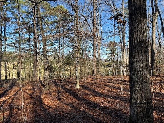 5th image of 4 County Road 751