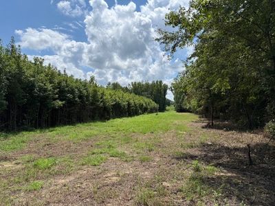 6502 Summitville Rd LOT 2, Morrison, TN, 37357