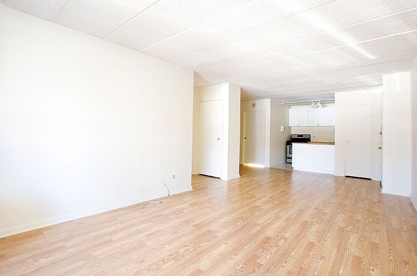 Living Room / Kitchen