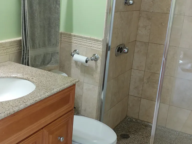 Bathroom 1 shower