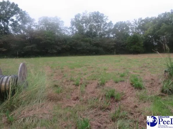 Lots 149 & 150 Mill Ave, Hartsville, SC 29550