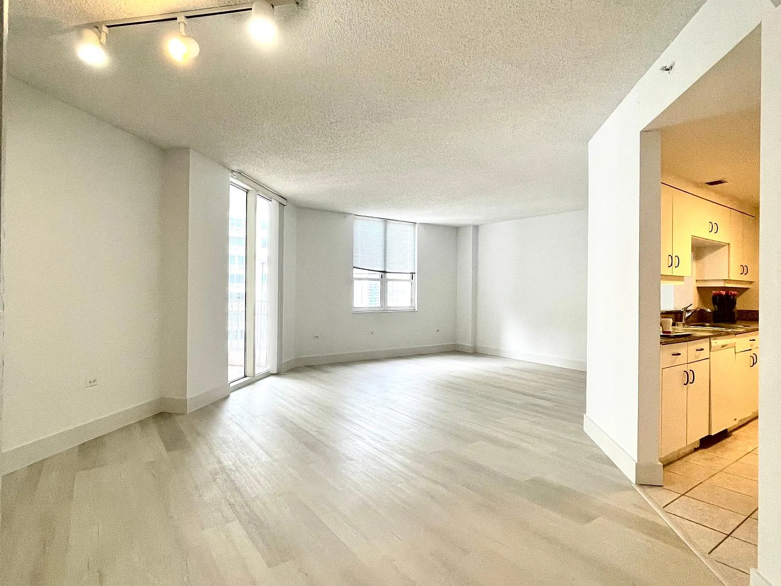 1 bed, 992 sqft, $3,500 — Photo 4