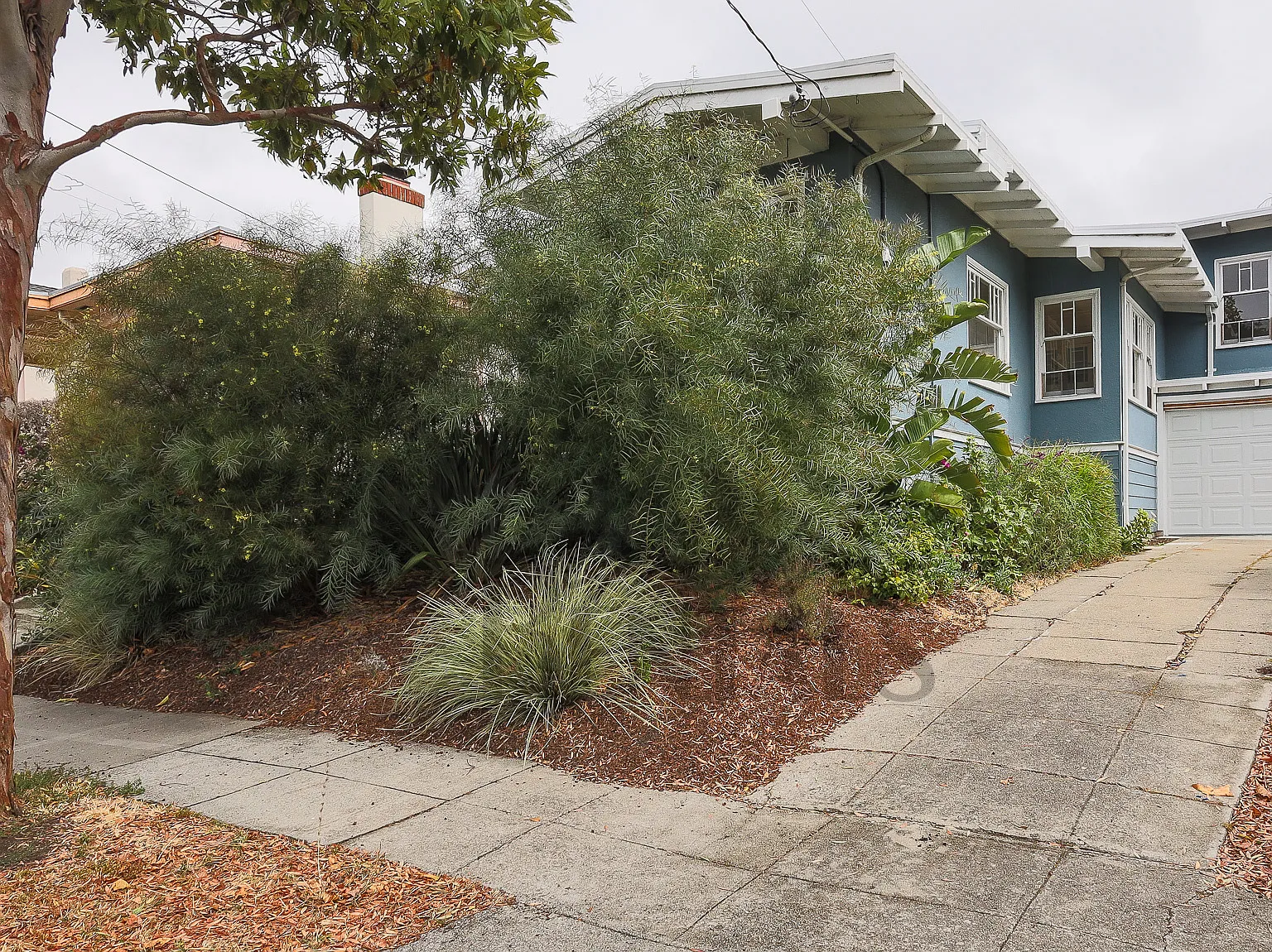 2 bed, 1228 sqft, $4,200 — Photo 3