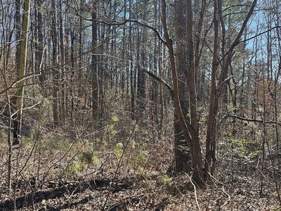 30 & 48 Dogwood Trl, Martin, GA, 30557