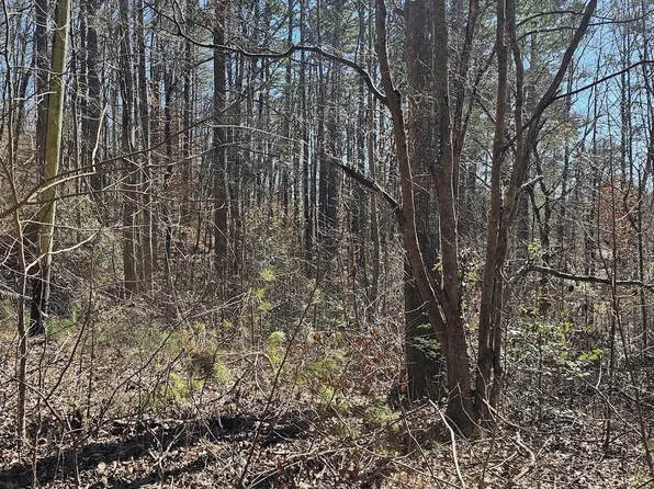 30 & 48 Dogwood Trl, Martin, GA 30557