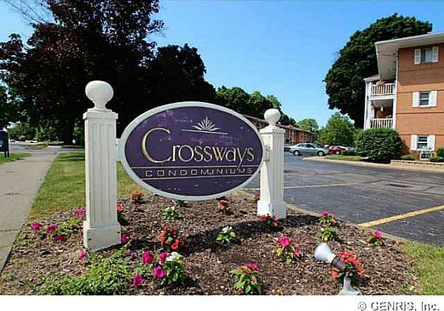 The name of the complex
