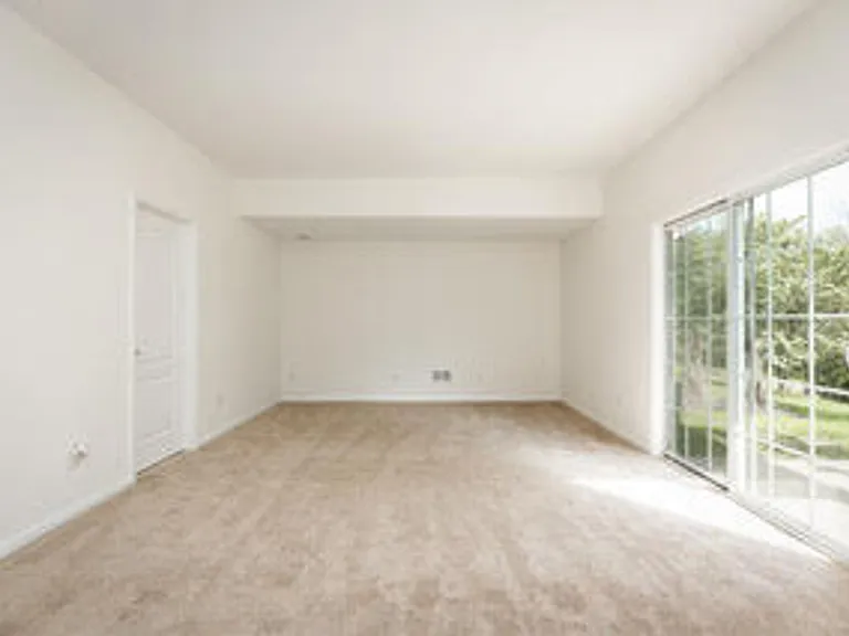 113 Pumpkin Patch Ln — Photo 4